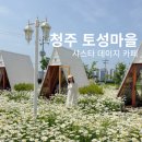 토성농장 | 청주 샤스타 데이지 카페 - 토성마을 주말 오픈런 후기/이용꿀팁