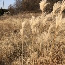 바다음식점 이미지
