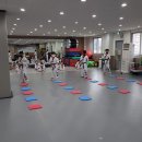 T-master 태권도 이미지