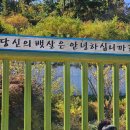 바다향기수목원(장미원) | [바다향기수목원] 경기도 안산 바다향기수목원 후기 대부도 근처 갈만한 곳