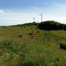 맹동산 입구(풍력) 이미지