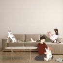 미공