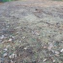 세찬농장 이미지