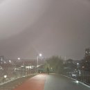 충민로6길 | [꿀팁] 서울공항버스에서 물건 두고 내렸을 때 (핸드폰 찾은 후기, 6300번 버스)