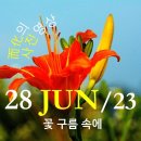 [0628'23] O 꽃 구름 속에 이미지