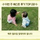 피그닉 이미지