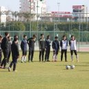 달콤한 휴식 이미지