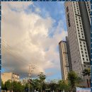 염주센트럴공인중개사사무소 | 광주더샵염주센트럴파크부동산 믿음직한 부동산 파트너와의 경험