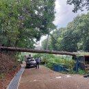 양성면사무소 이미지