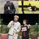 네일랜드 이미지
