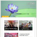 대한불교조계종 중앙신도회 [주간소식 1141호] 이미지