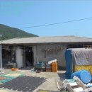 소안면-1 이미지