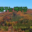 꿈꾸는 백마강 이미지