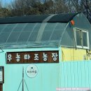 축사농장 | 파주 아이와 가볼만한 곳 우농타조농장! 도시락 싸서 가기 좋은 동물 먹이주기 체험장