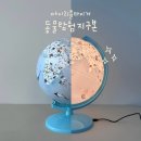 방방곡곡 그림책 세계탐험 | (아기 지구본)마이 리틀 타이거 동물탐험 지구본 내돈내산 후기