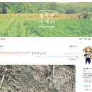 농부부이야기