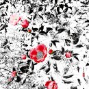 단비네찬 | 파워블로그 단비네 정원, 단비님의 치명적 꽃사랑