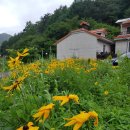 들꽃팬션 앞 이미지