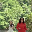 쌍둥이