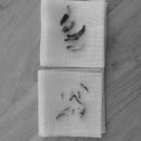 문정탑 동물병원 이미지