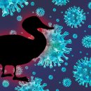 김포메추리농장 이미지