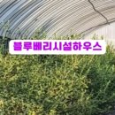 성수문량길 이미지