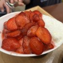 더 설 이미지