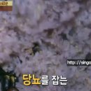 상봉동-023 티스토리