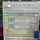 신비로 야외스크린 이미지