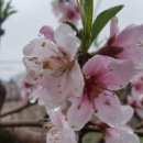 서당골경로당 이미지