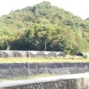 보한농장 이미지