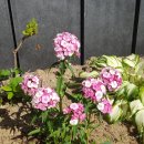 산내우체국 이미지