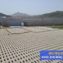 지방897호 네이버블로그