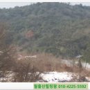 월출산힐링팜 이미지