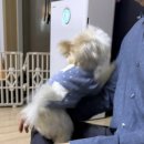 동일로163길 (15) 이미지