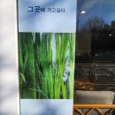 카페델라비타 | [인천/서구] 방문하기만 해도 교양이 쌓이는 것 같은 카페! '카페 델라비타' 후기