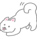 예스예스애견 이미지