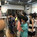 신영숙콜렉션 이미지