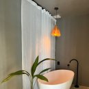 코스타리몬 이미지