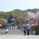 각원사 Daum카페