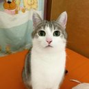 중앙민박 이미지