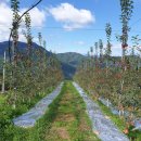 샬롬농원 이미지