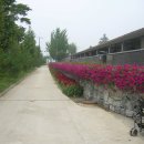 솔뫼 입구 이미지