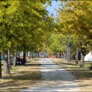 강천보건진료소 이미지