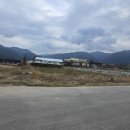 주천면사무소 이미지