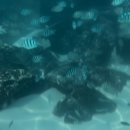 참조아약국 이미지