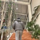 통영스토리 | 통영 대형 오션뷰 신상 "아르세 카페" 솔직 후기