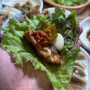 아름애견 이미지