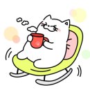 제이제이캣 이미지