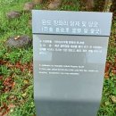 완도 장좌리 당제 및 당굿 이미지